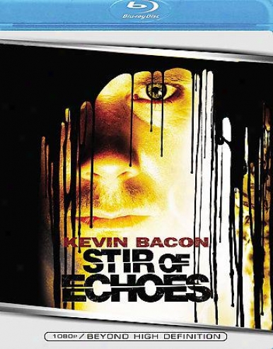 Stir Of Echoes