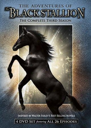 The Adventures Of The Black Stallion - The Complete Third Season