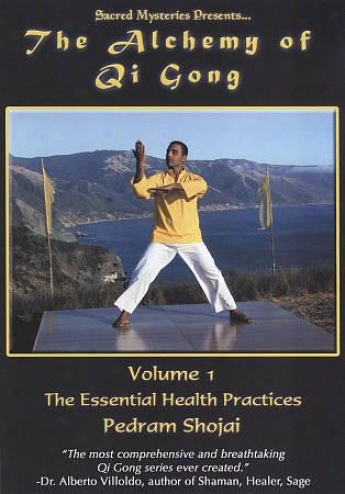 The Alchemy Of Qi Gong, Vol. 1: The Essential Health Practices