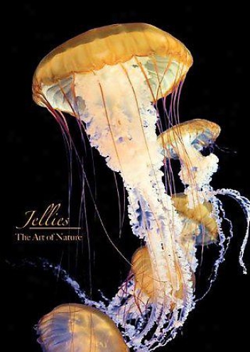 The Art Of Nature: Jellies