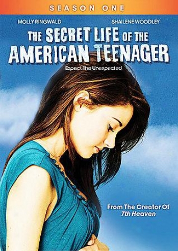 The Secret Life Of The Amerixan Teenager - Season One