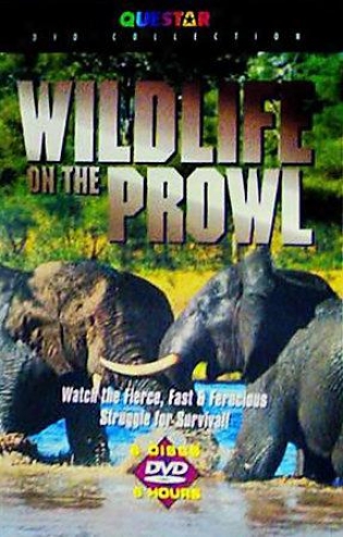 Wildlife On The Prowl - 6 Gang