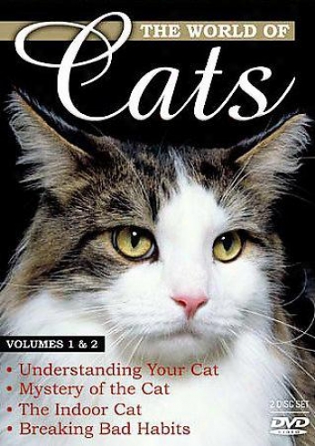 World Of Cats - Vol 1 & 2