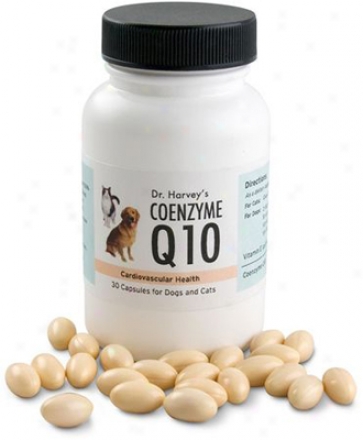 Dr. Harvey's Coenzyme Q10 Supplement 60 Capsules