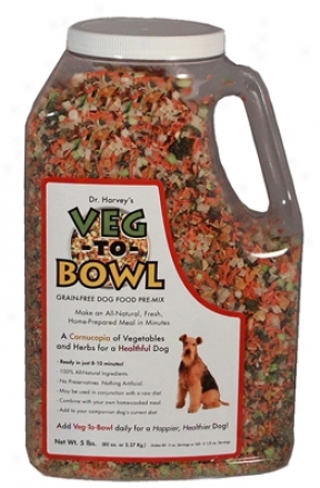 Dr. Harvey's Veg-to-bowl Grain-free Pre-mix Dog 2 Lbs