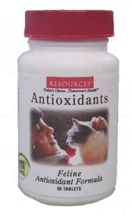 Genesis Resources Antioxidant Formula Cat Supplement