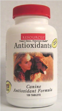 Genesis Resources Antioxidant Formula Dog Supplement