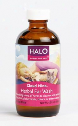 Halo Herbal Musical perception Wash