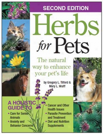 Herbs For Pets