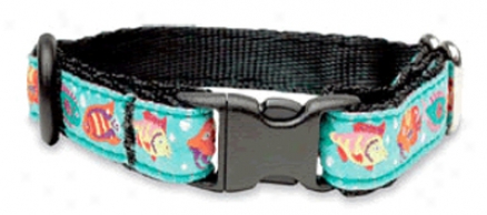 Kitty Breakaway Collars - 142