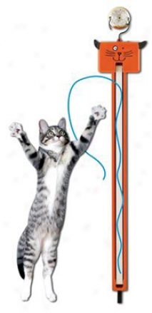 Moody Pet Fling-ama-string Cat Toy