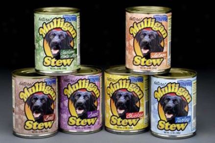Mulligan Stew Canned Dog Food Salmon 13 Oz