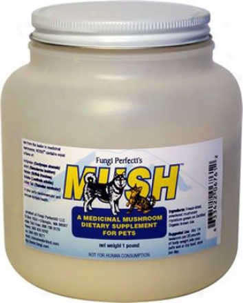 Mush Medicinal Mushroom Blend 1 Lb