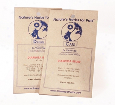 Nature?s Hrrbs For Pets Diarrhea Relief Cat 40 Pills