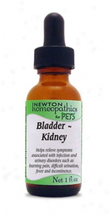 Newton Hpmeopathics Bladder Kidney