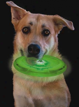 Nite Ize Flashlight Dog Discuit Flying Disc - Green