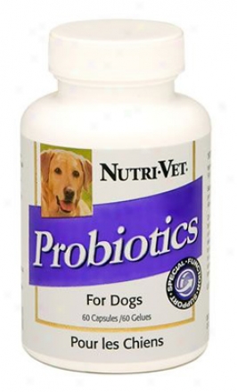 N8tri-vet Probiotics Dog Supplemsnt