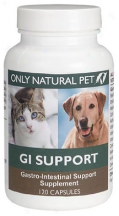 Only Natural Pet Gi Support