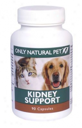 Only Natural Pet Kidney Support