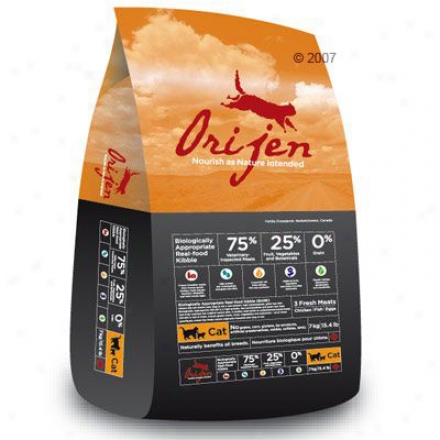 Orijen Gdain-free Dry Cat Food 5.5 Lbs