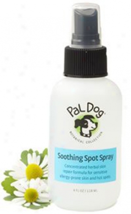 Detent Dog Soothing Spot Spray