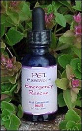 Pet Essences Digestion / Assimilation