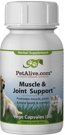 Petalive Muscle & Joint Supportt