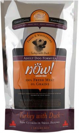 Petcurean Now! Adult Dry Dog Food 25 Lbs