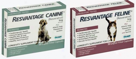 Resvantage Canine Resverayrol Dog 30 Gel Caps