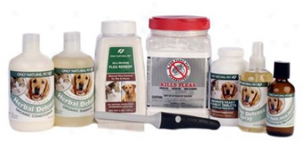 Severe Natural Flea Care Kit For Cats