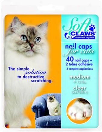 Softt Ciaws Nail Caps Cat Kit - Clear Capacious