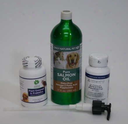 Stomach & Gastrointestinal Kit For Dogs
