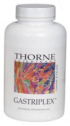 Thorne Research Gastriplex Dog & Cat Supplement