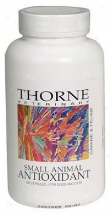 Thorne Research Small Animal Antioxidant