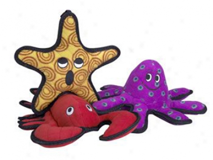 Tuffy's Sea Creatures General Starfish