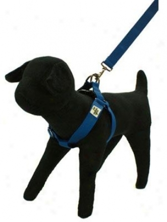 Wagging Green Harness Sea Shell M (ss)