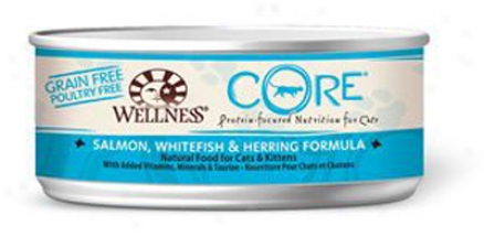 Wellness Grain-free Core Can Cat Salmon 5.5 Oz Question 24