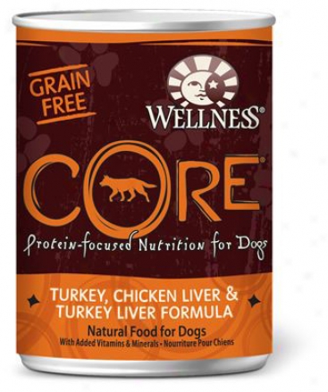 Wellness Grain-free Core Can Dog Turkey 12.5 Oz Case 12