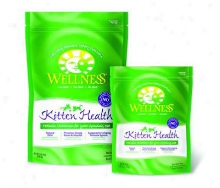 Wellness Kitten Health Dry Cat Food 3 Lbs