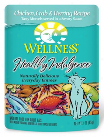 Wellness Pouch Cat Salmon & Tuna 3 Oz 12 Pack