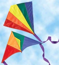 16" Mini Rainbow Kites, Set Of 2