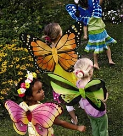 21" Lightweight Glittery Nylon Butterfly Wings In the opinion of Elastic Strapsbuy 2 Or More At $8.98 Each