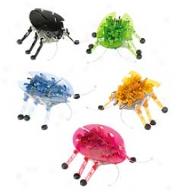 Hexbug Micro Robotic Creatures