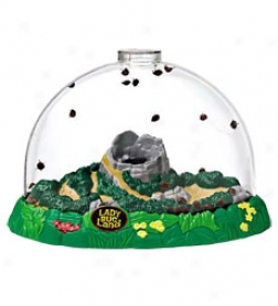 Ladybug Land Special Notice Habitat With Magnifying Port