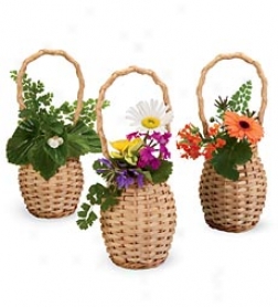 Mini May Day Baskets, Set Of 3