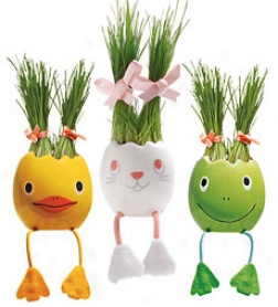 N6okki Handcrafted Egg Plant Pet