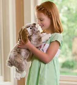 Pet Rabbit Hand Puppet