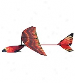 Phoenix Aero Glider Kite