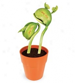 Set Of 2, I Love You Bean Plant Kit