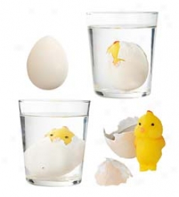 Set Of 3 Grow A Chick